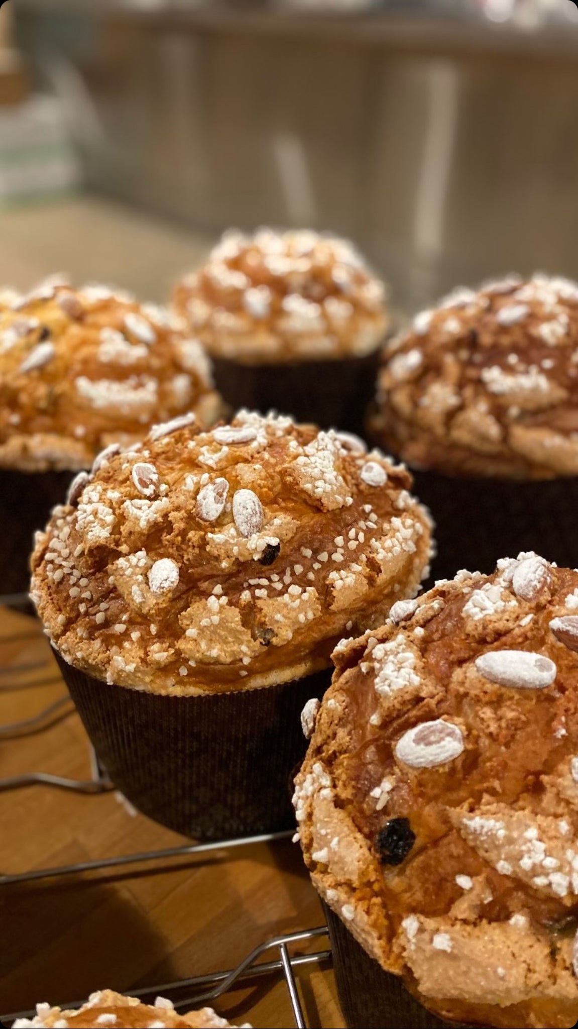 Il Panettone - FORNO